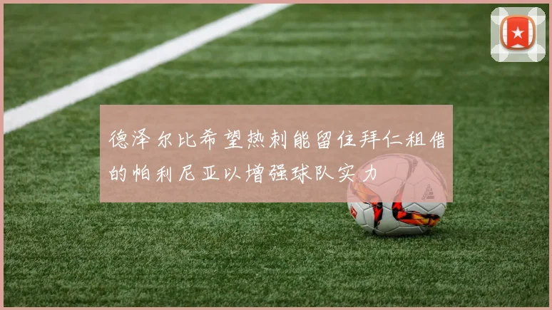 德泽尔比希望热刺能留住拜仁租借的帕利尼亚以增强球队实力
