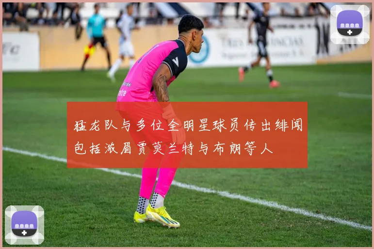 猛龙队与多位全明星球员传出绯闻包括浓眉贾莫兰特与布朗等人